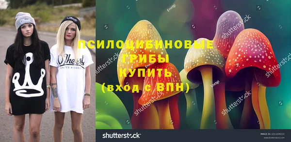 гидра Алзамай